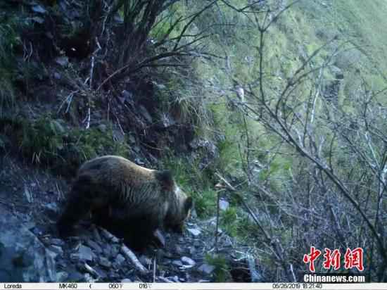 资料图。 山水自然保护中心供图
联合国《生物多样性公约》秘书处代理执行秘书